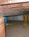 Mold and rot thriving in a dirt floor crawl space in Belleville