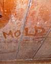 The word mold written with a finger on a moldy wood wall in Bancroft