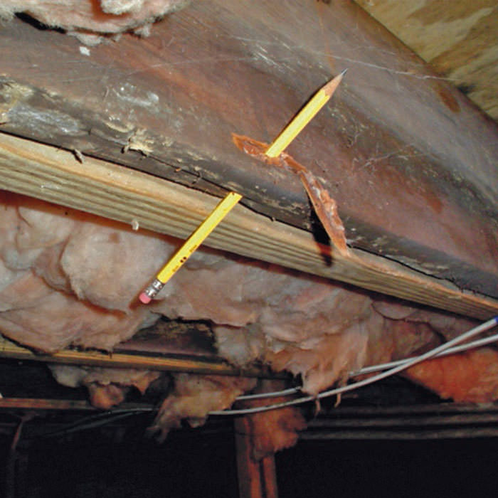 Repair Wood Damage In Belleville Kingston Picton On Repair