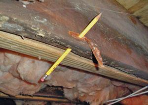 Repair Wood Damage In Belleville Kingston Picton On Repair