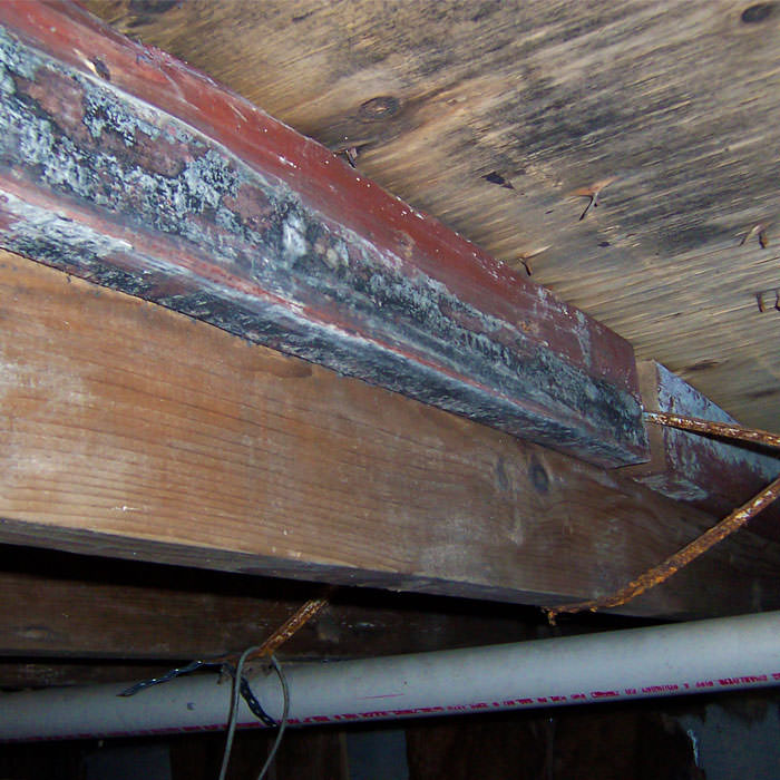 Repair Wood Damage In Belleville Kingston Picton On Repair