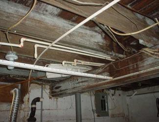 a humid basement overgrown with mold and rot in Castleton