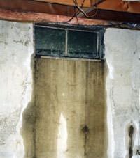 Flooding through basement windows in a Gananoque home.