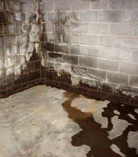 Water seeping through a concrete wall in a Madoc basement