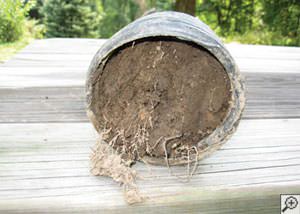 clogged french drain found in Bath, Ontario