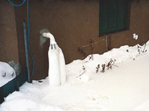 IceGuard® Installed Napanee
